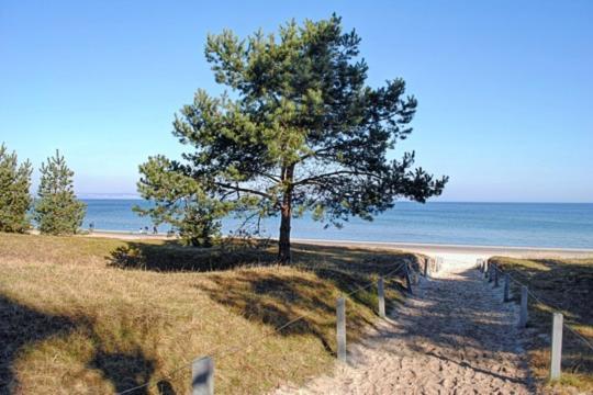 Strandvilla Aegir Mit Ostseeblick ビンツ エクステリア 写真
